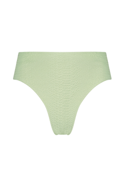 Jade Green Bikini Bottom in Textured Faux Snakeskin Fabric